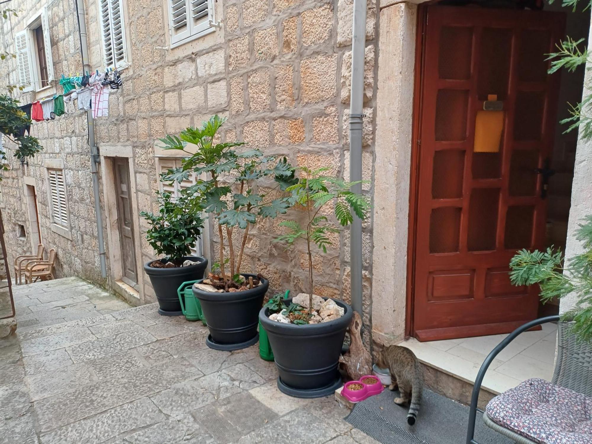 Guest House Jungher Korčula Eksteriør billede